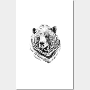 Bear Posters and Art